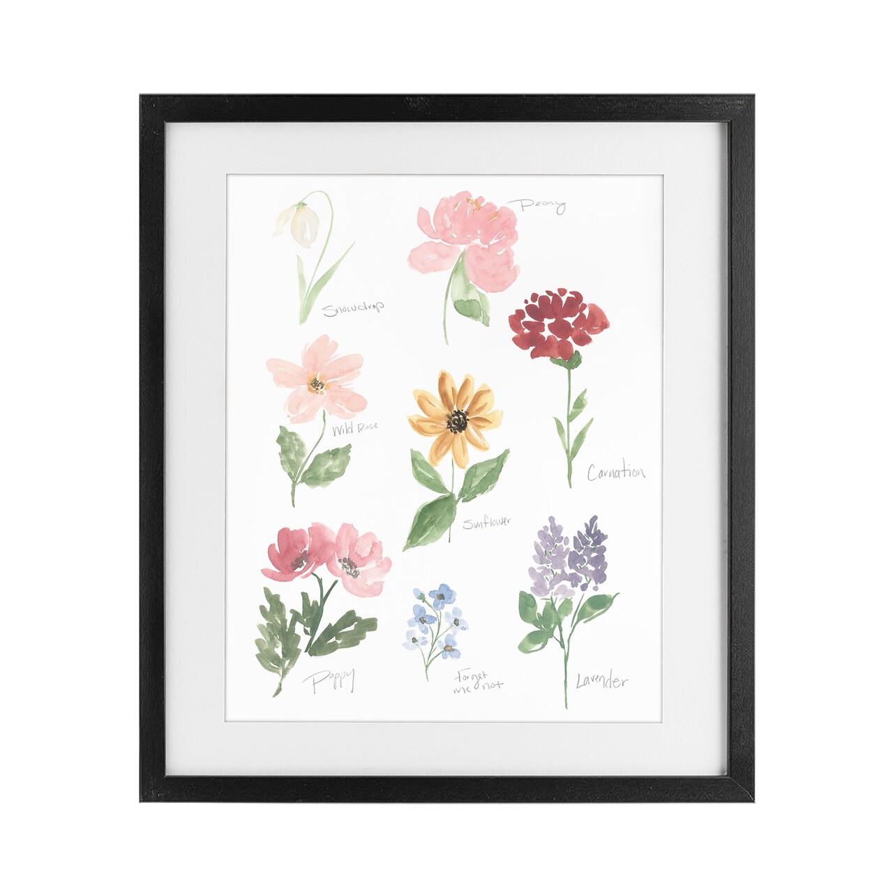 Stupell Industries Labeled Flower Varieties Framed Print Under Glass, design by Lucille Price